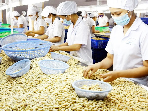 Сельское хозяйство Вьетнама нуждается в поддержке зарубежных партнеров ảnh 1