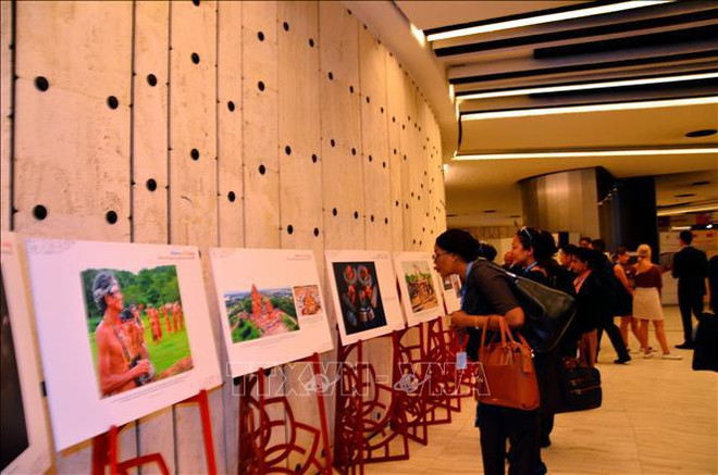 Вьетнам вносит содержательный вклад в работу Совета ООН по правам человека ảnh 2