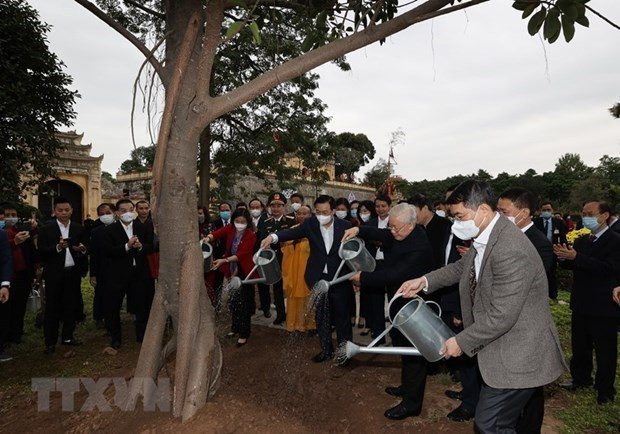 Ханой: запуск Tэта для посадки деревьев в 2021 году ảnh 1