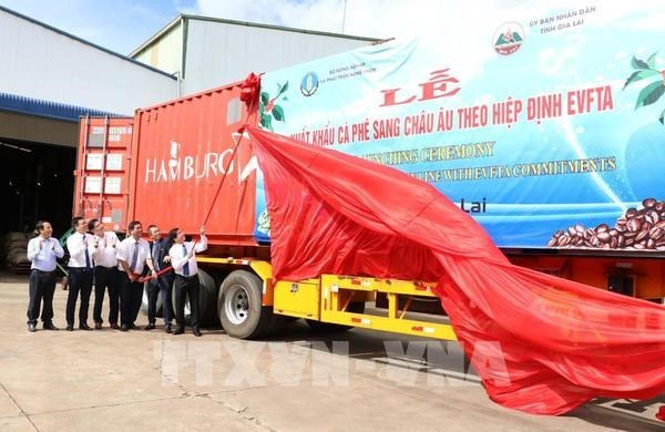 Вьетнам преодолеет трудности в 2021 году на основе солидарности ảnh 2 Вьетнам преодолеет трудности в 2021 году на основе солидарности ảnh 2