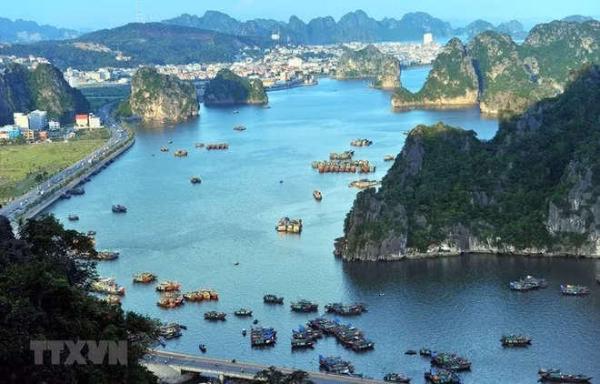 Куангнинь: Продолжить программу «Залив Халонг без пластиковых отходов» ảnh 1