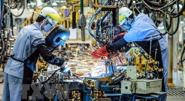 Европейские предприятия с оптимизмом смотрят на экономику Вьетнама ảnh 1 Европейские предприятия с оптимизмом смотрят на экономику Вьетнама ảnh 1