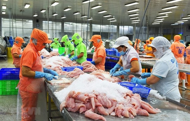 Экспорт морепродуктов достигнет рекордных 11 млрд. долл. США в 2022 году, но впереди вызовы ảnh 1 Экспорт морепродуктов достигнет рекордных 11 млрд. долл. США в 2022 году, но впереди вызовы ảnh 1