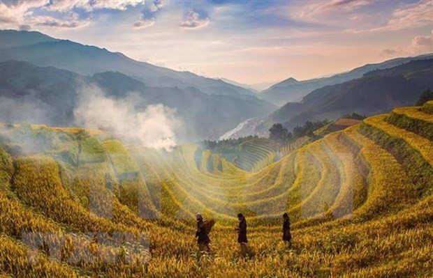 Исследование террасных рисовых полей в провинции Йенбай ảnh 1