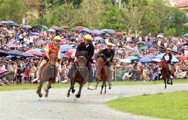 Возрождение традиции скачек в Бакха Лаокая ảnh 1 Возрождение традиции скачек в Бакха Лаокая ảnh 1