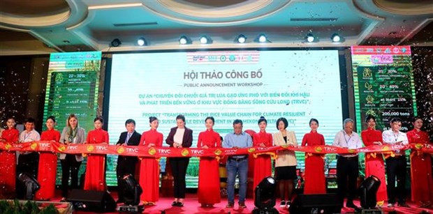 Нидерланды и Австралия помогают преобразовать цепочки создания стоимости риса в дельте Меконга ảnh 1