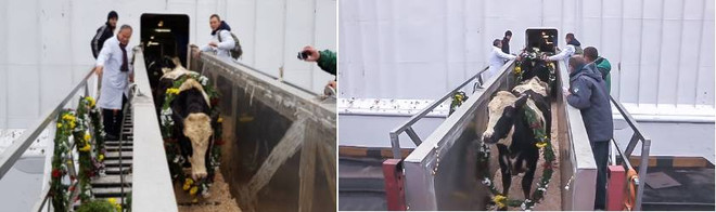 Корпорация ТН Group прилагают максимум усилия для реализации инвестиционных проектов в Российской Федерации ảnh 4 Корпорация ТН Group прилагают максимум усилия для реализации инвестиционных проектов в Российской Федерации ảnh 4