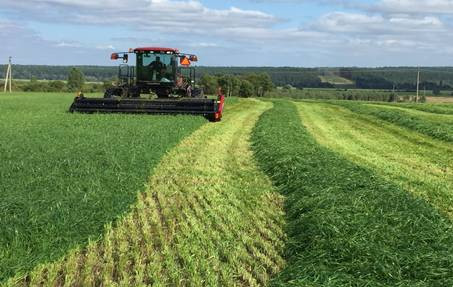 Корпорация ТН Group прилагают максимум усилия для реализации инвестиционных проектов в Российской Федерации ảnh 1 Корпорация ТН Group прилагают максимум усилия для реализации инвестиционных проектов в Российской Федерации ảnh 1