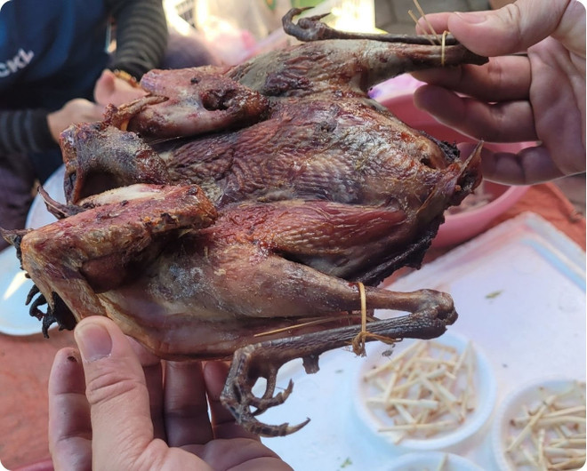 Статья 4: Источник болезни: употребление мяса диких животных – употребление яда ảnh 6 Статья 4: Источник болезни: употребление мяса диких животных – употребление яда ảnh 6