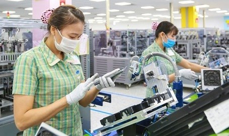 Вьетнам получает выгоду от EVFTA и CPTPP ảnh 1