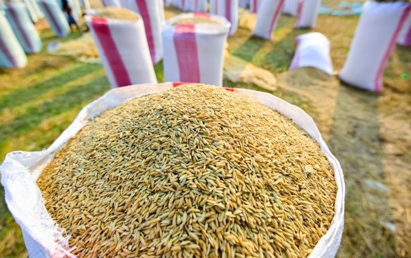 Новая экономическая политика вступает в силу с апреля 2022 года ảnh 1 Новая экономическая политика вступает в силу с апреля 2022 года ảnh 1