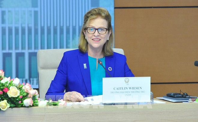 Постоянный представитель ПРООН: Вьетнам может стать примером зеленого роста ảnh 2 Постоянный представитель ПРООН: Вьетнам может стать примером зеленого роста ảnh 2