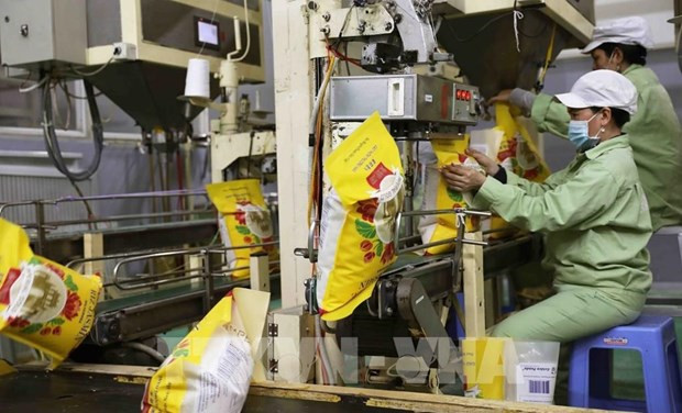 Перспективы роста экспорта вьетнамского риса ảnh 1