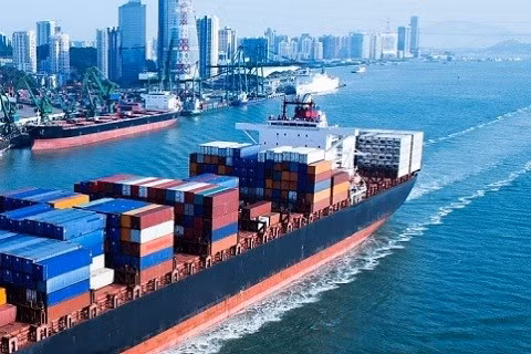 Вьетнам продвигает переговоры о ССТ с МЕРКОСУР ảnh 1