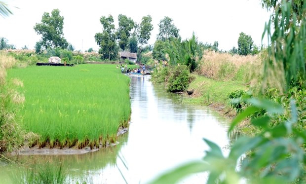 Провинция Камау диверсифицирует аквакультурное хозяйство ảnh 1 Провинция Камау диверсифицирует аквакультурное хозяйство ảnh 1