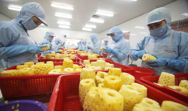 Экспорт фруктов и овощей может достичь 4 млрд. долл. США ảnh 1 Экспорт фруктов и овощей может достичь 4 млрд. долл. США ảnh 1