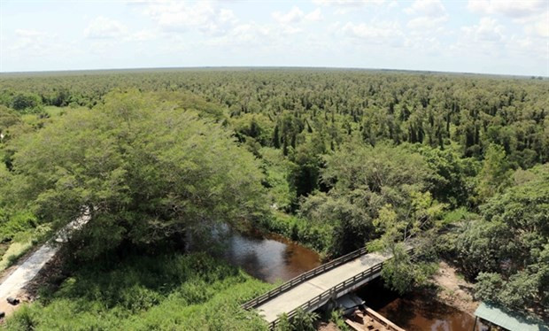 Дельта Меконга усиливает меры по предотвращению лесных пожаров ảnh 1 Дельта Меконга усиливает меры по предотвращению лесных пожаров ảnh 1