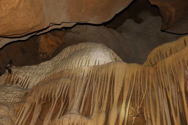 В Куангчи обнаружена новая пещера ảnh 2 В Куангчи обнаружена новая пещера ảnh 2