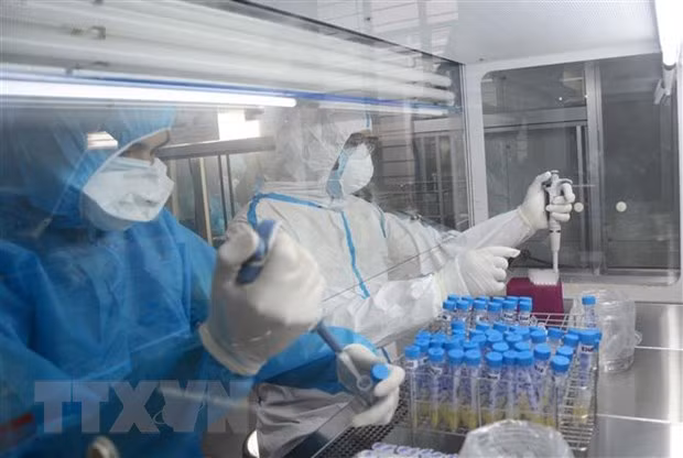 На утро 11 августа Вьетнам не зафиксировал новых случаев COVID-19 ảnh 1