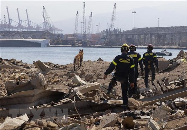 Министры иностранных дел стран АСЕАН выступили с заявлением по поводу взрыва в Ливане ảnh 1