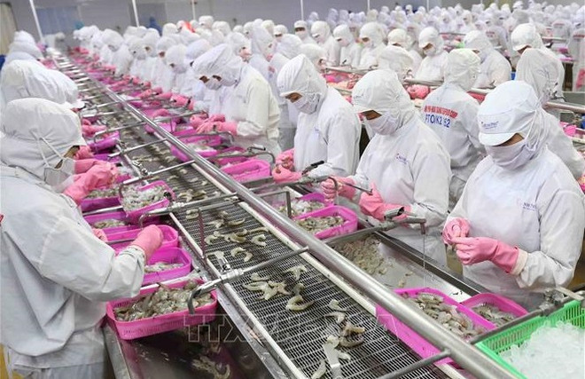 Экспорт морепродуктов за 5 месяцев увеличился на 14% ảnh 1 Экспорт морепродуктов за 5 месяцев увеличился на 14% ảnh 1