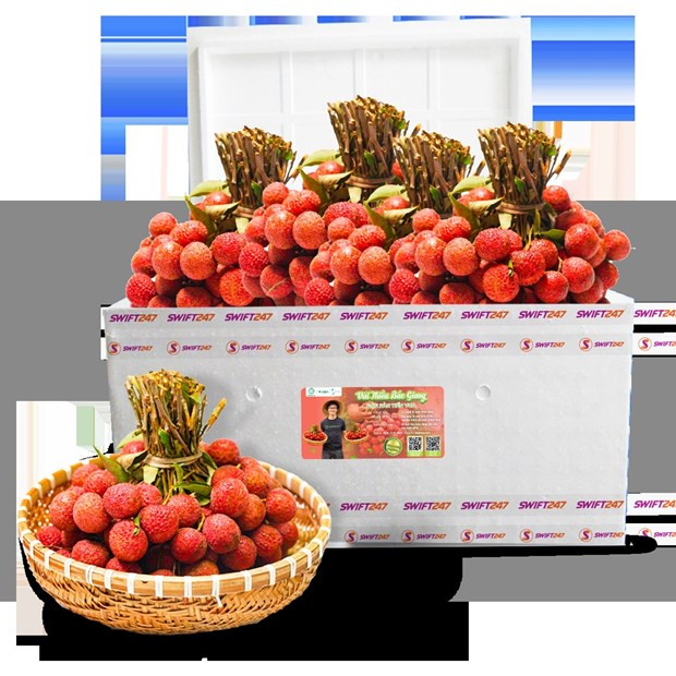 Vietjet объединяет усилия по продвижению экспорта и потребления личи в стране и за рубежом ảnh 2 Vietjet объединяет усилия по продвижению экспорта и потребления личи в стране и за рубежом ảnh 2