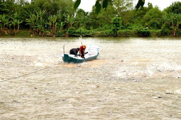 Семинар подчеркивает роль ГЧП в сокращении выбросов в цепочке производства пангасиуса ảnh 1 Семинар подчеркивает роль ГЧП в сокращении выбросов в цепочке производства пангасиуса ảnh 1