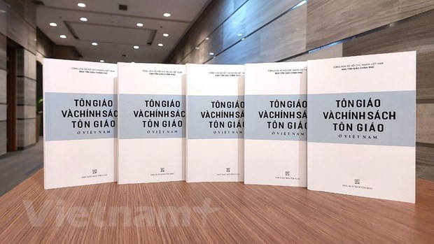 Вьетнам прилагает неустанные усилия для обеспечения права на свободу вероисповедания для всех людей ảnh 4 Вьетнам прилагает неустанные усилия для обеспечения права на свободу вероисповедания для всех людей ảnh 4