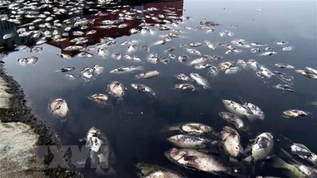 Вьетнам не входит в число 17 стран с высоким риском дефицита воды ảnh 1 Вьетнам не входит в число 17 стран с высоким риском дефицита воды ảnh 1