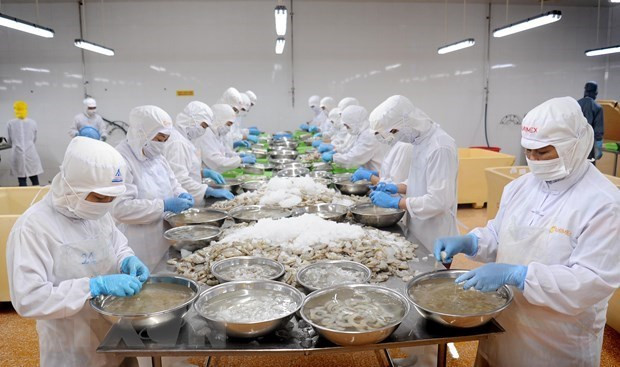 Камау: содействие международной интеграции, привлечению инвестиций ảnh 2 Камау: содействие международной интеграции, привлечению инвестиций ảnh 2