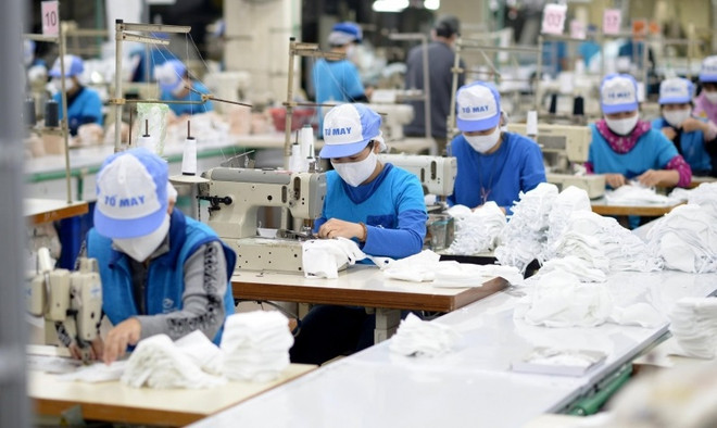 Развитие рынка труда: к 2025 году доля подготовленных работников достигнет 30% ảnh 2