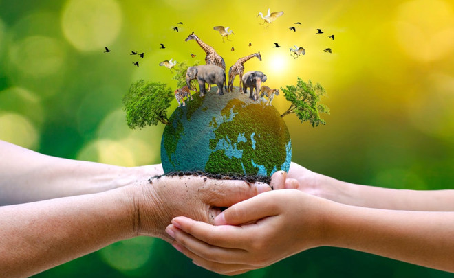 Международный день дикой фауны и флоры 3 марта: Эффективное сохранение диких видов ảnh 1 Международный день дикой фауны и флоры 3 марта: Эффективное сохранение диких видов ảnh 1