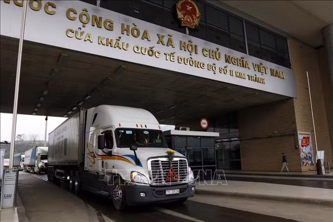 Экспорт фруктов и овощей в Китай растет ảnh 2