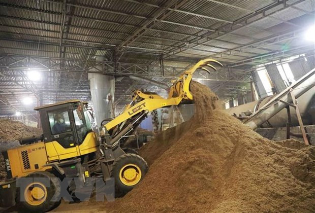 Широкие возможности для экспорта древесных пеллет в качестве топлива ảnh 1