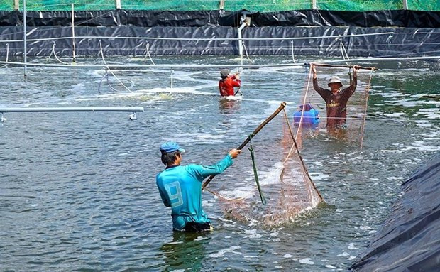 Центральный банк запустил пакет кредитов на сумму 15 трлн. донгов для поддержки предприятий лесного и рыбного хозяйства ảnh 1 Центральный банк запустил пакет кредитов на сумму 15 трлн. донгов для поддержки предприятий лесного и рыбного хозяйства ảnh 1