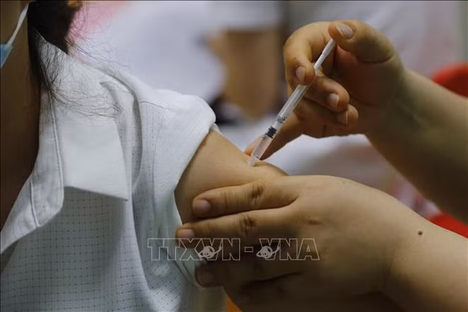 Начинается клинические испытания вакцины против COVID-19 на основе американской технологии мРНК ảnh 1