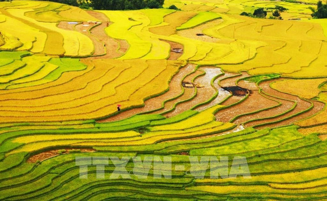 Вьетнамский туризм номинирован в 10 категориях World Travel Awards 2022 ảnh 1 Вьетнамский туризм номинирован в 10 категориях World Travel Awards 2022 ảnh 1