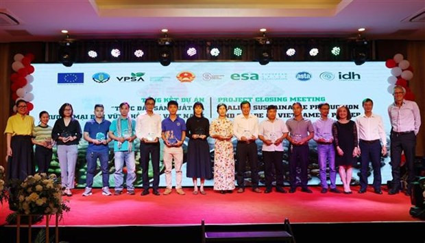 Проект способствует устойчивому производству перца в Центральном нагорье ảnh 2 Проект способствует устойчивому производству перца в Центральном нагорье ảnh 2