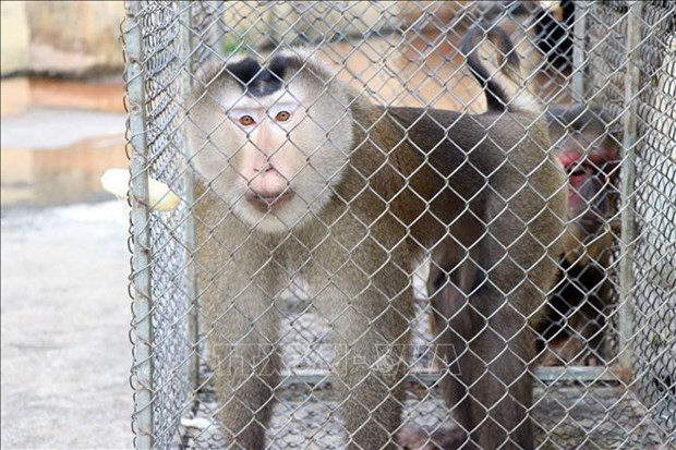 Сообщество прилагает согласованные усилия для ограничения сокращения численности и вымирания видов дикой природы ảnh 2