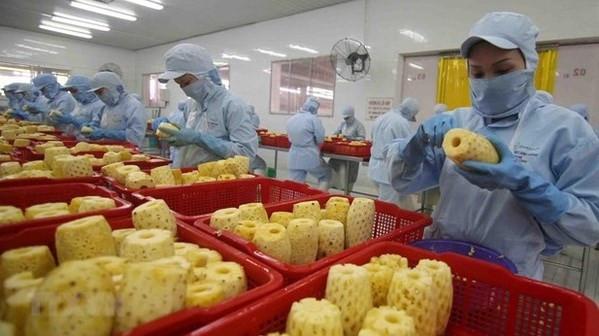 Экспорт фруктов и овощей характеризуется высоким потенциалом, но жесткими требованиями ảnh 1 Экспорт фруктов и овощей характеризуется высоким потенциалом, но жесткими требованиями ảnh 1