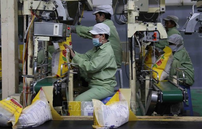 Вьетнам, как ожидается, экспортирует 7 млн. тонн риса в этом году ảnh 2