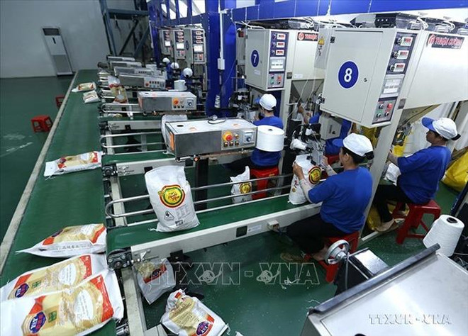 Экспорт продукции сельского, лесного и рыбного хозяйства вырастет с 4-го квартала 2023 года ảnh 2 Экспорт продукции сельского, лесного и рыбного хозяйства вырастет с 4-го квартала 2023 года ảnh 2