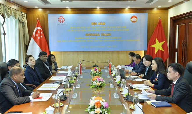 Вьетнам и Сингапур расширяют обмен опытом по созданию сети общественного управления ảnh 1 Вьетнам и Сингапур расширяют обмен опытом по созданию сети общественного управления ảnh 1