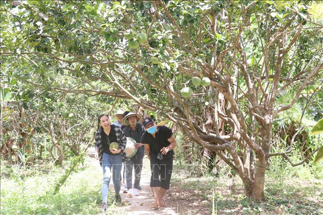 Зеленый туризм привлекает посетителей ảnh 1 Зеленый туризм привлекает посетителей ảnh 1