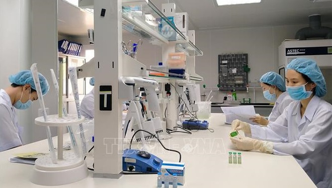 АСЕАН призывает к увеличению производства вакцин ảnh 2 АСЕАН призывает к увеличению производства вакцин ảnh 2