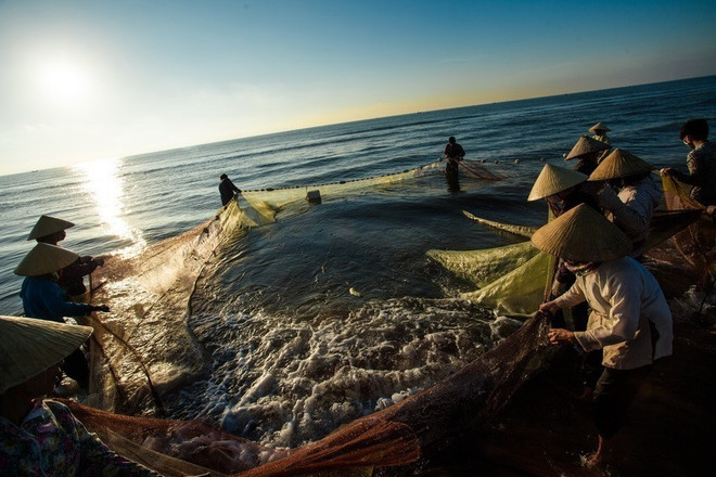 Создание интегрированной, устойчиво развивающейся и ответственной рыбохозяйственной отрасли ảnh 1 Создание интегрированной, устойчиво развивающейся и ответственной рыбохозяйственной отрасли ảnh 1