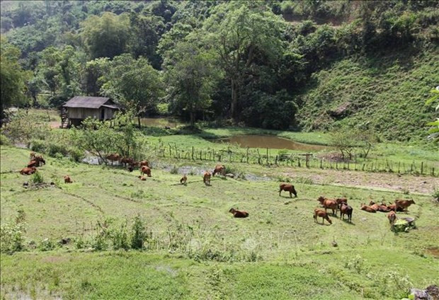 Вьетнам добивается успехов в борьбе с бедностью ảnh 1