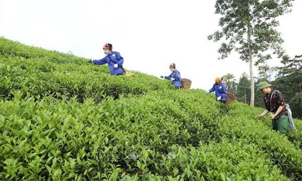 Вьетнам добивается успехов в борьбе с бедностью ảnh 2