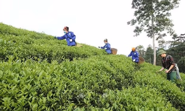 Вьетнам добивается успехов в борьбе с бедностью ảnh 2