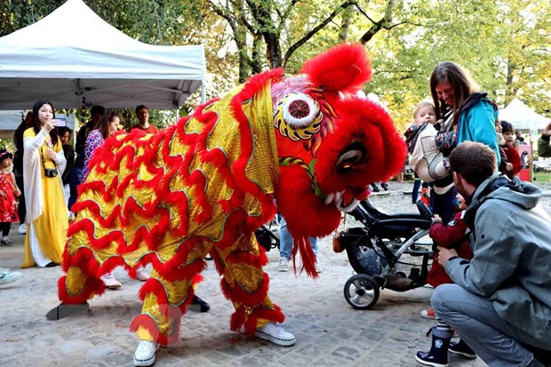 Празднование Дня семьи вьетнамской диаспоры в Бельгии ảnh 1 Празднование Дня семьи вьетнамской диаспоры в Бельгии ảnh 1